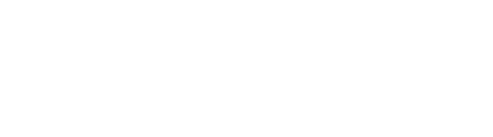Hongwang Holding Group 宏旺控股集团